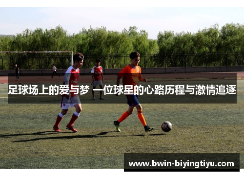 足球场上的爱与梦 一位球星的心路历程与激情追逐